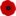 image of poppy